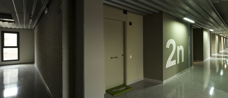 37 habitatges dotacionals de lloguer i consultori local